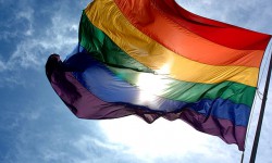 Rainbow Gay Flag