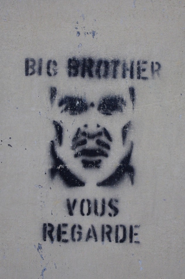 La démocratie version Grand Frère....
