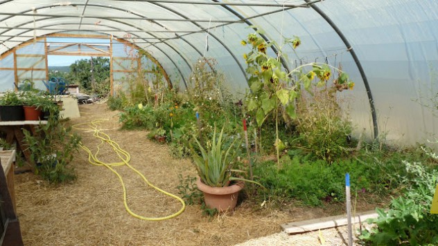 agroecology in greenhouse