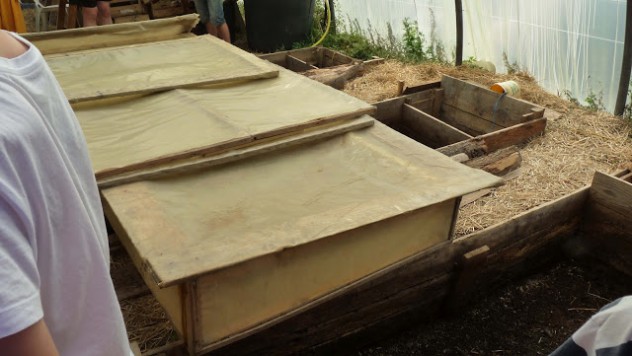agroecology hotbeds