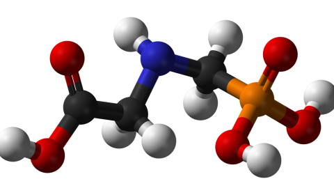 Modèle en 3D de la molécule de glyphosate
