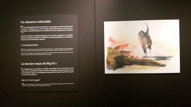 AllausorusFragilis_science_paléoart AllausorusFragilis_science_paléoart
