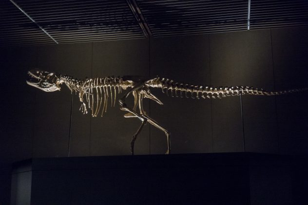 dinosaures_science_1980